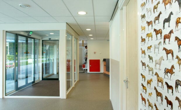 Hardenberg动物诊所项目-22