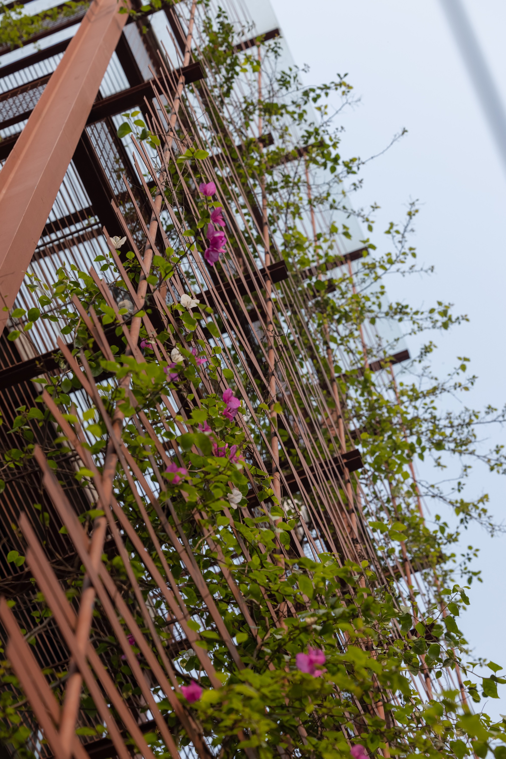 loft公寓丨越南河内丨Atelier 12-12