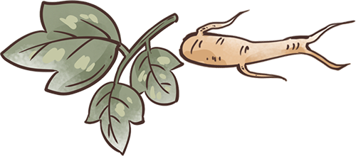 我的铁路风景|大漠长河间的铁路诗行-0