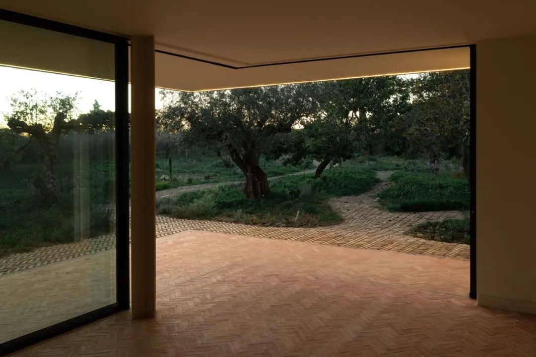 蒙杜库别墅丨几内亚丨Remy Aznar 和 William Tailly-91