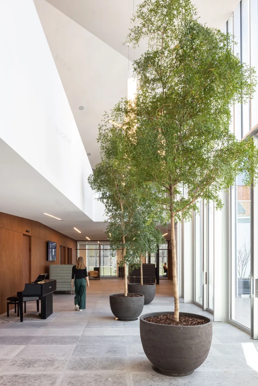 贾贝克市政厅丨Belgium丨OYO Architects-18