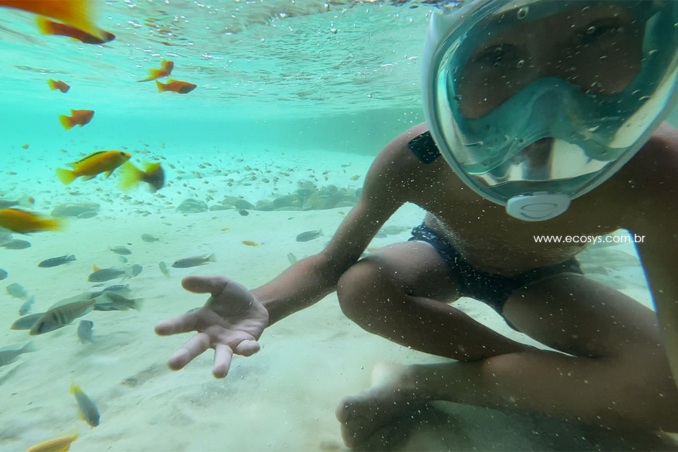 天然游泳池 – EAK-9