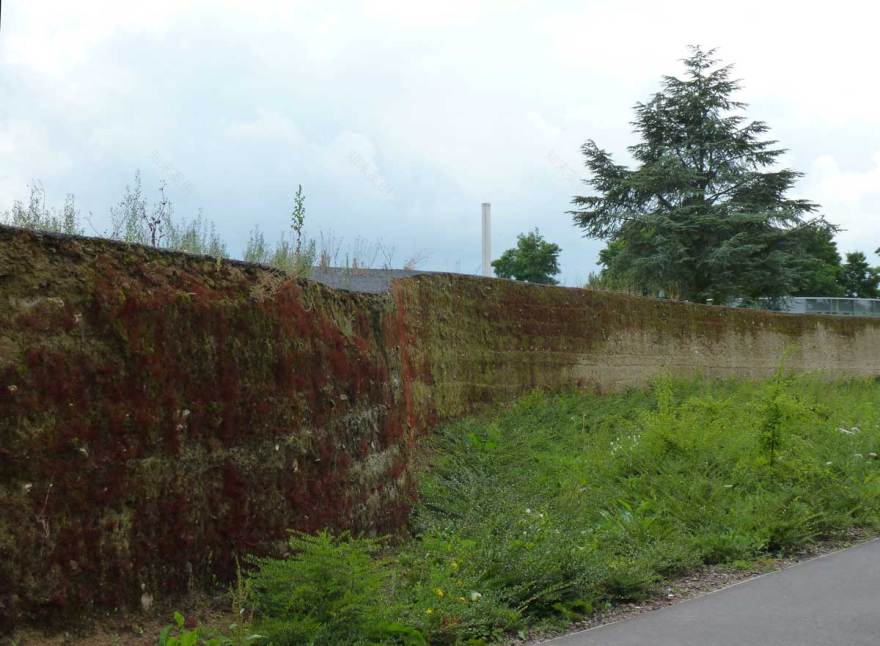 Louvre Lens 博物馆公园-44