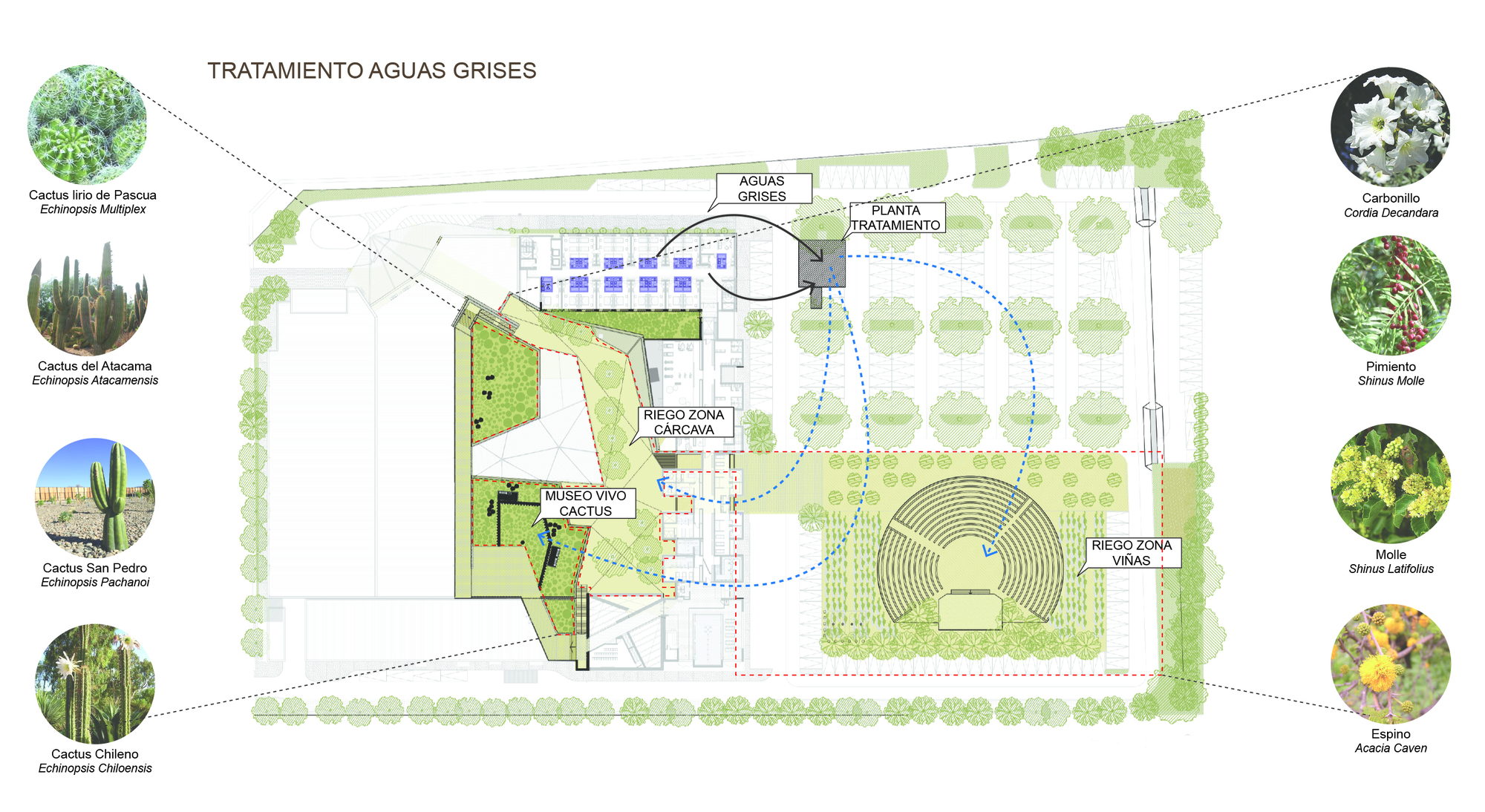 Ovalle 赌场酒店设计-31