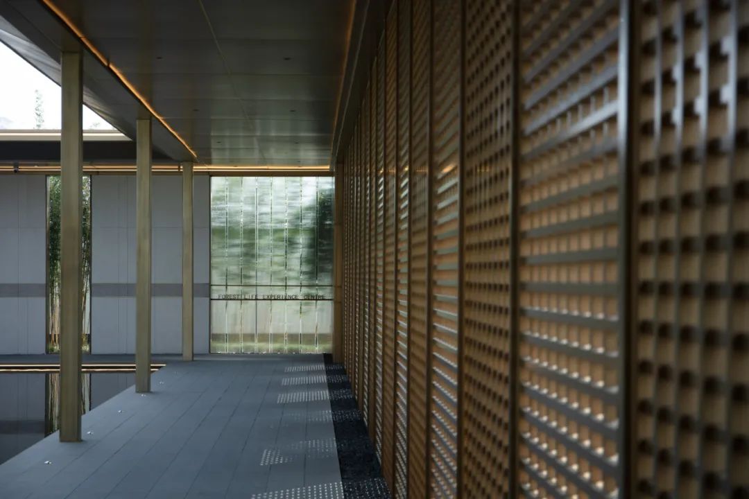 和熙碧影迎明月 | 绿城·沁香园-75