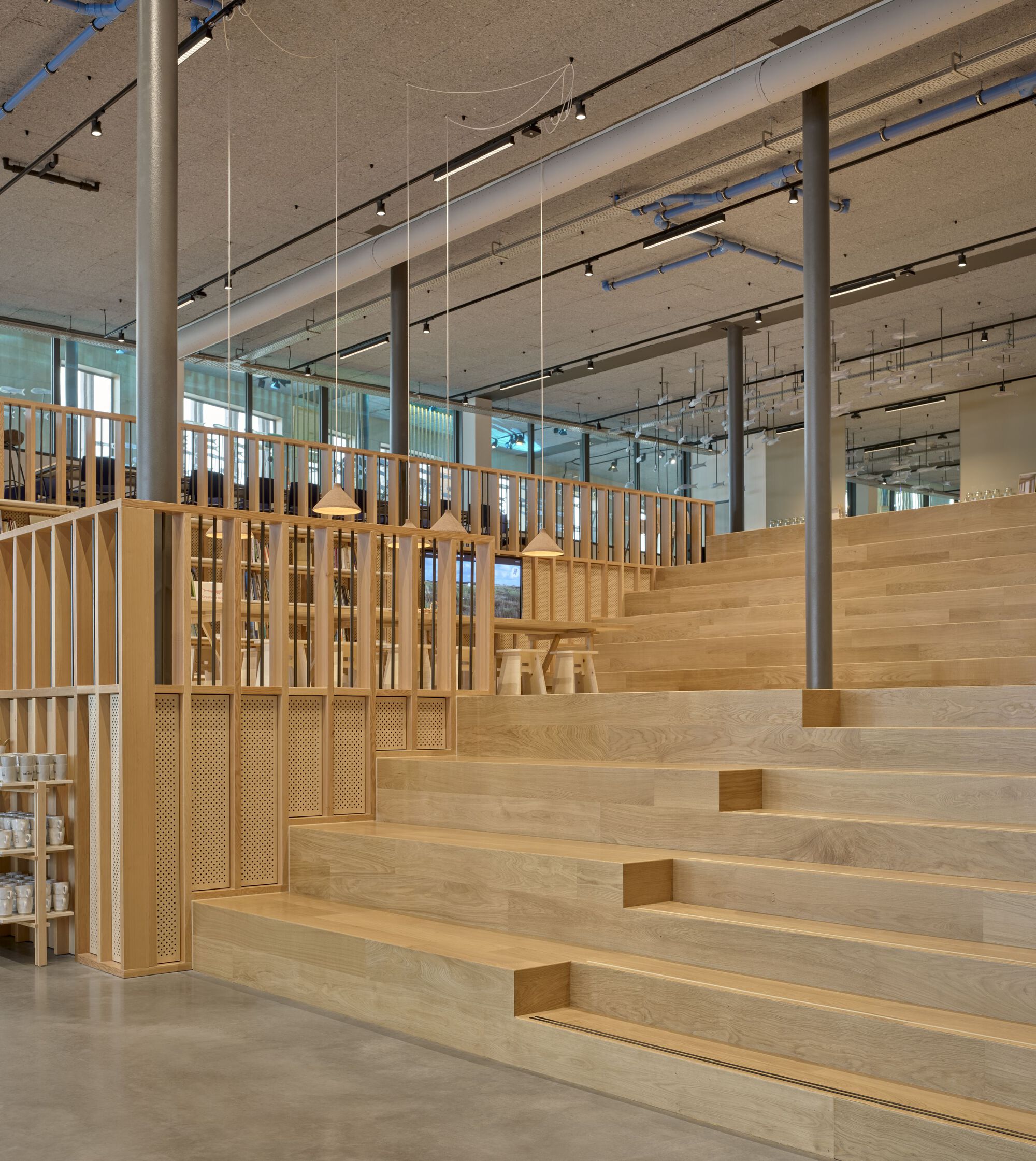 瓦登海世界遗产中心丨荷兰丨Dorte Mandrup-36