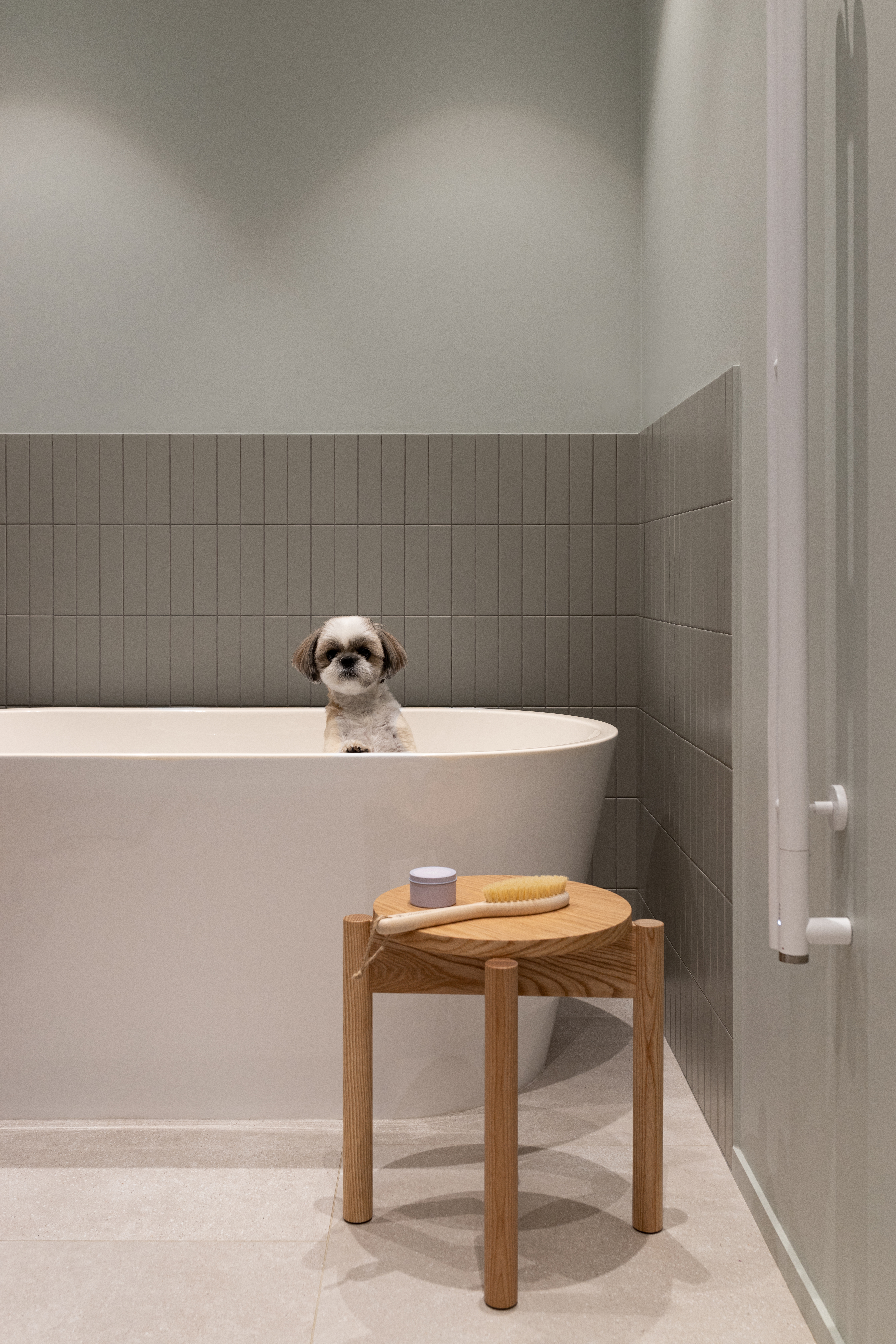 圣彼得堡年轻夫妇公寓设计丨俄罗斯圣彼得堡丨Sofya Karelina-20