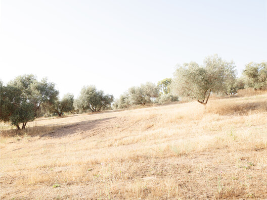 丨意大利罗马-47