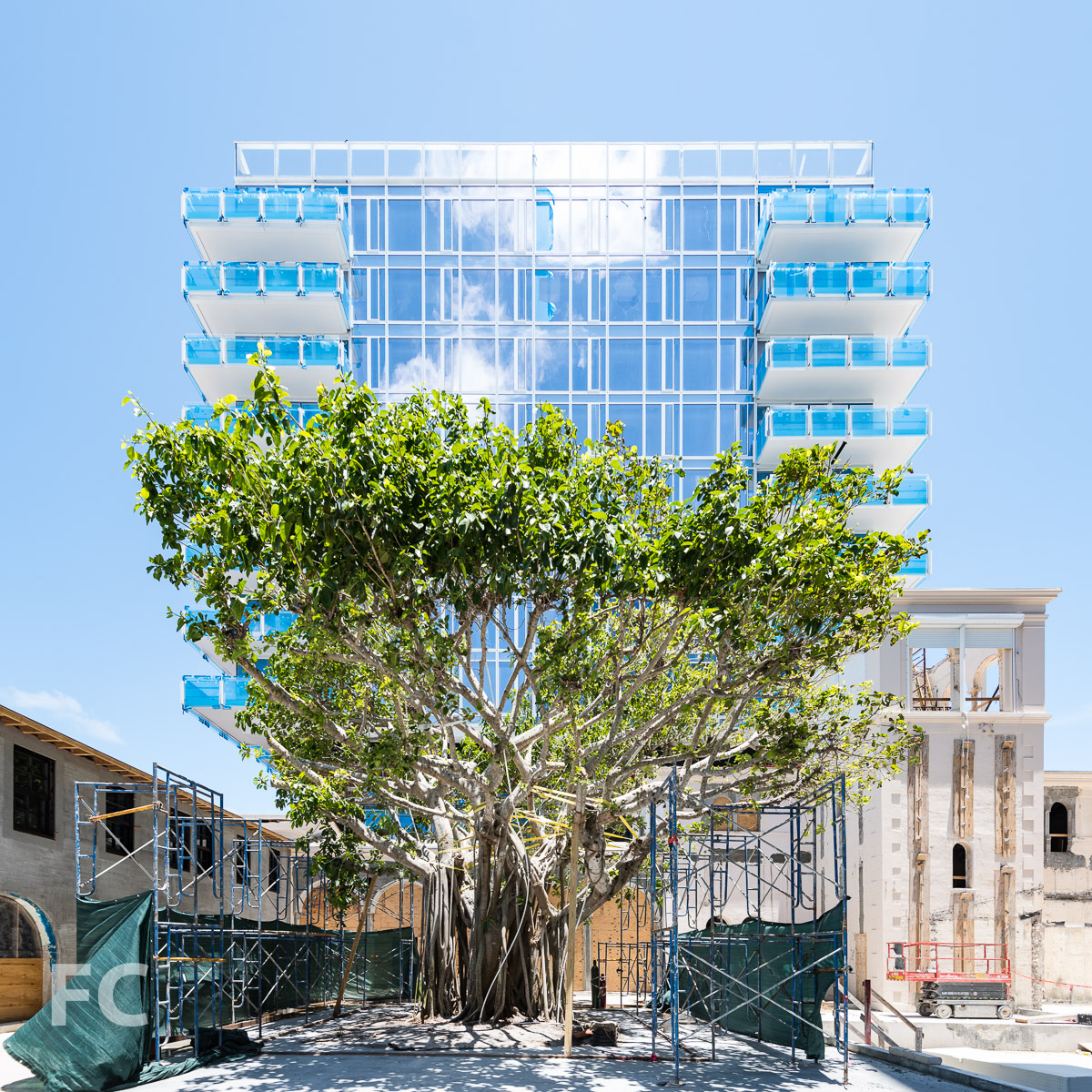 The Surf Club — FIELD CONDITION-18