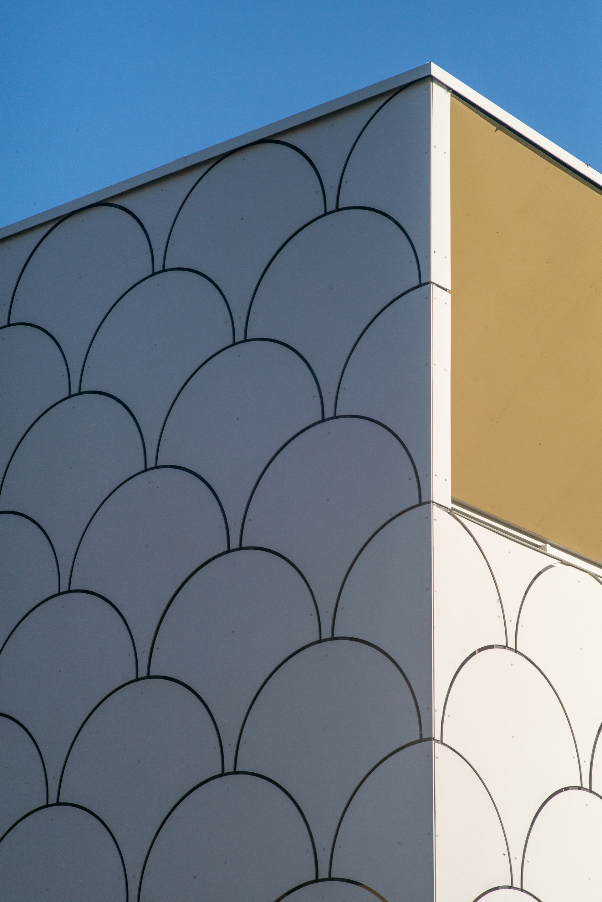 Villa Maillard / D'HOUNDT+BAJART Architectes&associés-42