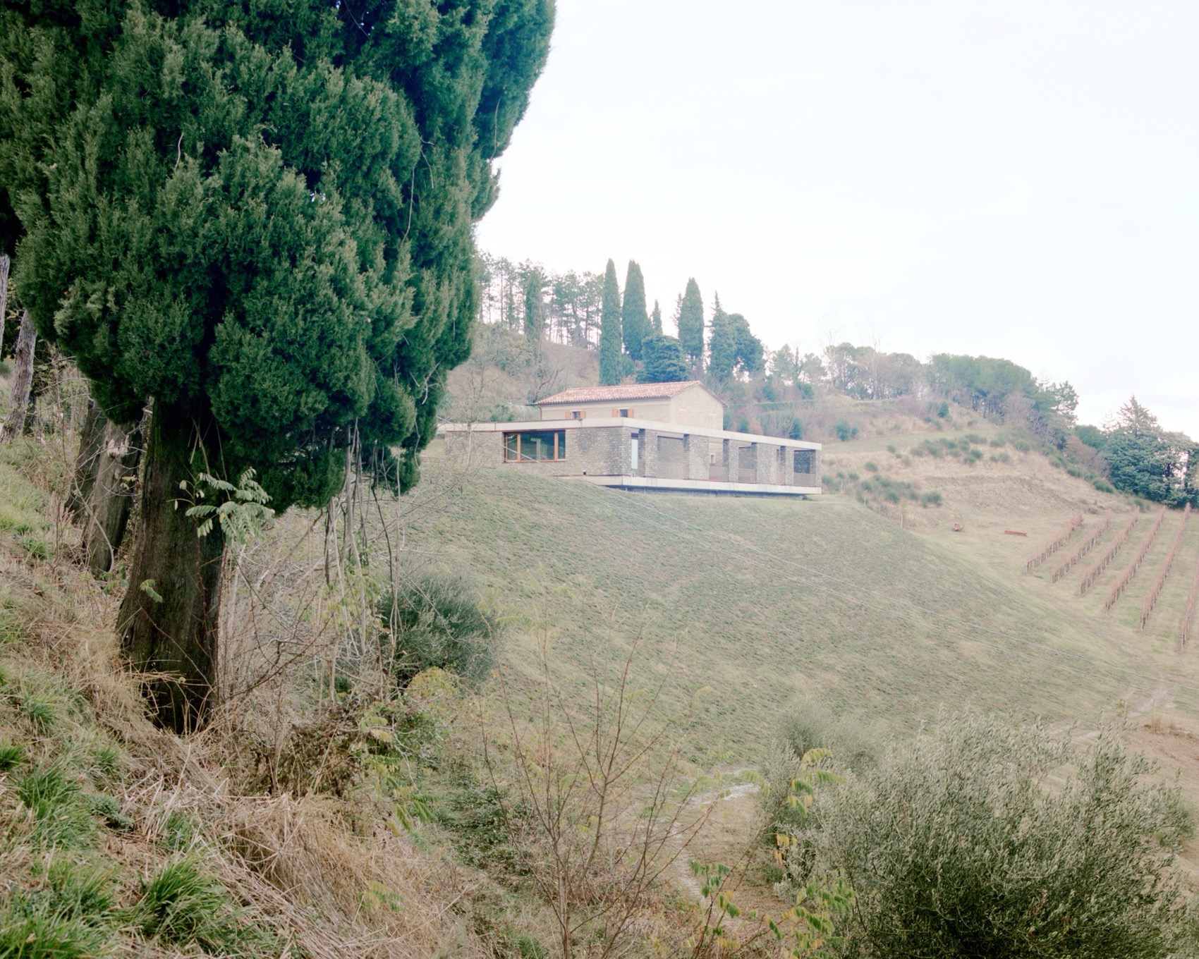 EFFEVU住宅丨意大利丨ellevuele architetti-19