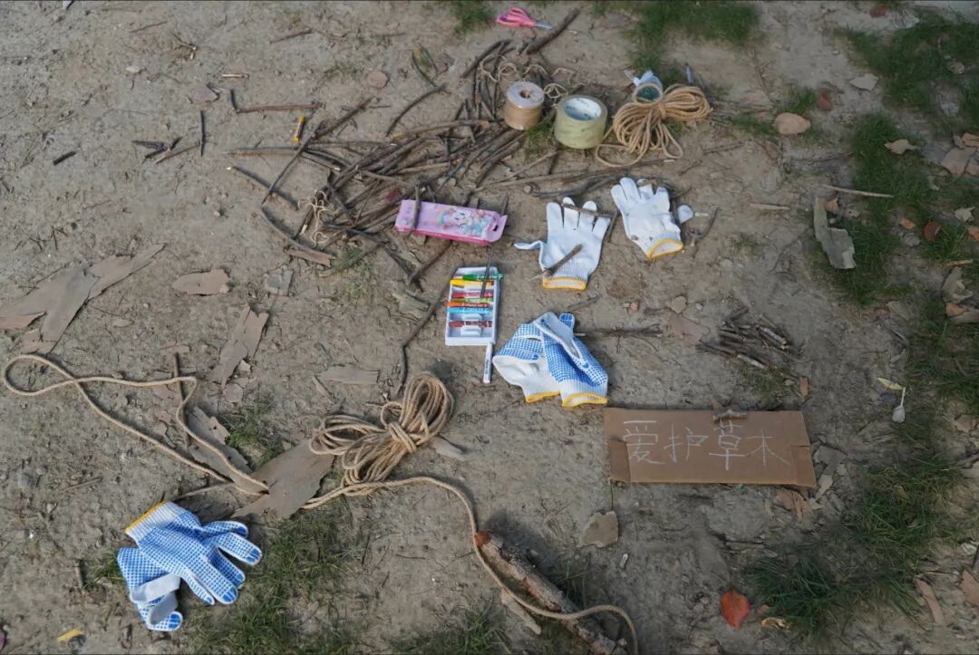 共写番禺自然故事|番禺绿地开放日温馨回顾-86