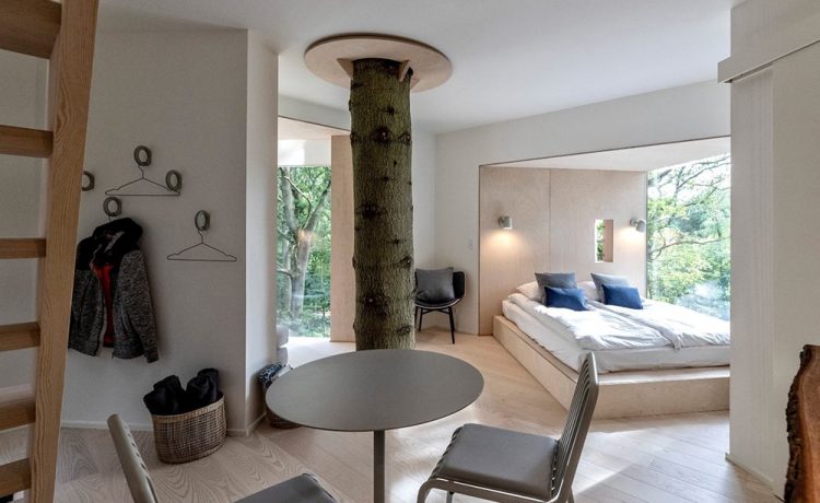 Løvtag 迷你树屋酒店丨丹麦丨丹麦建筑师西格德·拉尔森-20