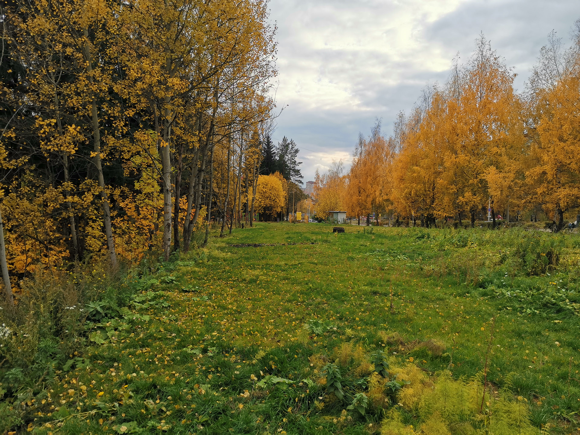 蒂希诺公园丨俄罗斯伊热夫斯克丨ARCH_IZNANKA-12