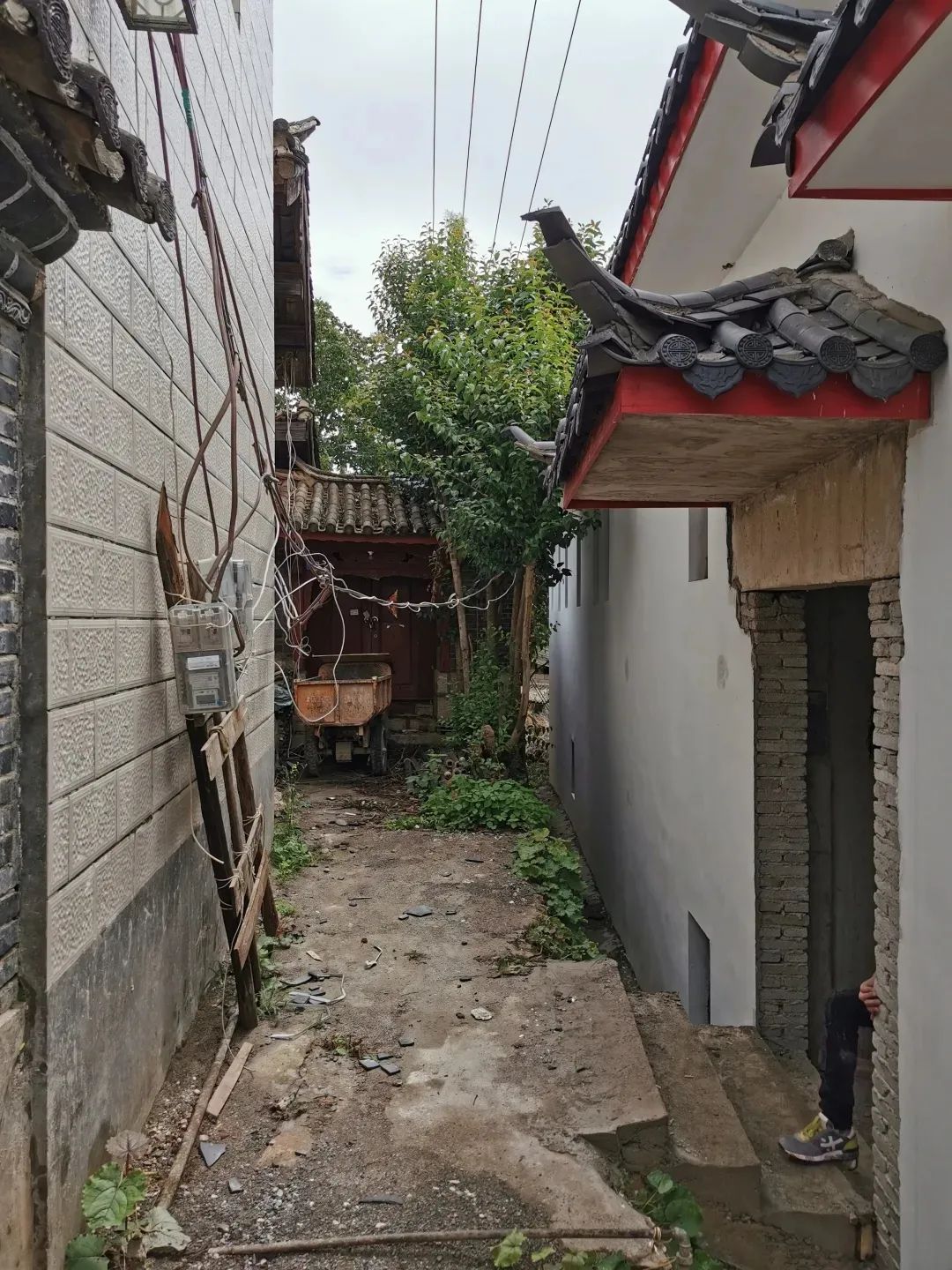 五姐妹同住“乘风破浪的家”，《梦想改造家》实现最美抱团养老-94