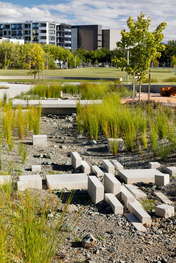 坎贝尔第 5 区生态景观设计丨澳大利亚堪培拉-10