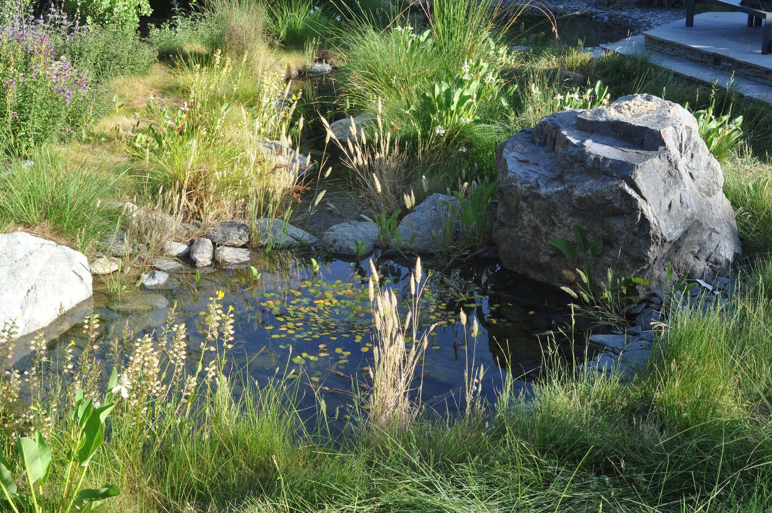 小面积荒野丨Huettl Landscape Architecture-5