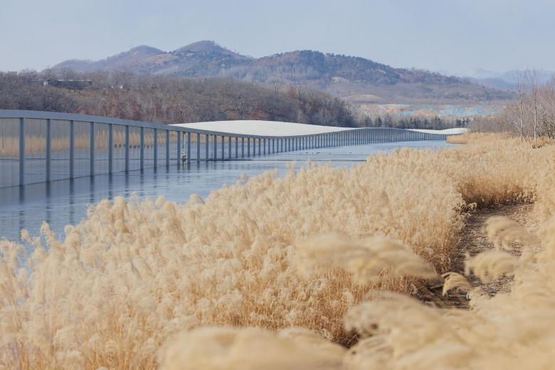 Zaishui 美术馆丨中国日照丨junya ishigami + associates-12