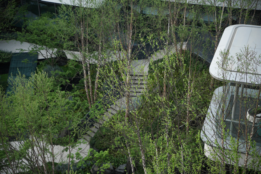 苏州蠡棠森屿示范区丨MIND 迈德景观-51