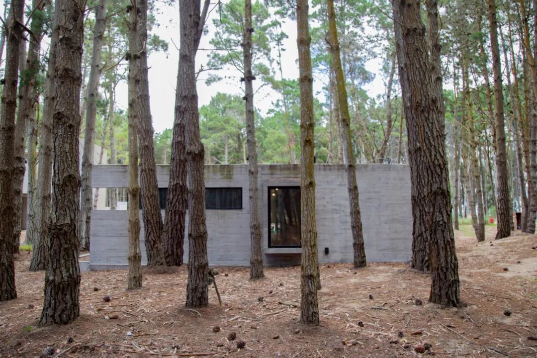 阿根廷 195m²森林避暑别墅丨GGH 设计机构-15