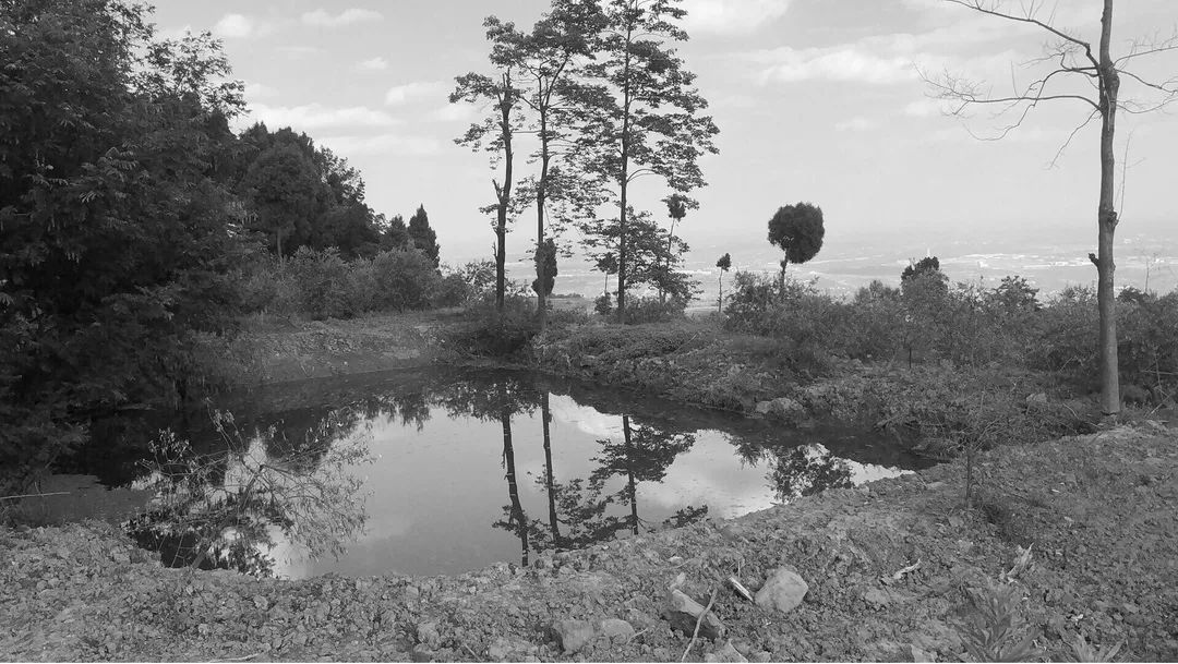 成都云顶牧场丨中国成都丨易兰规划设计院-43