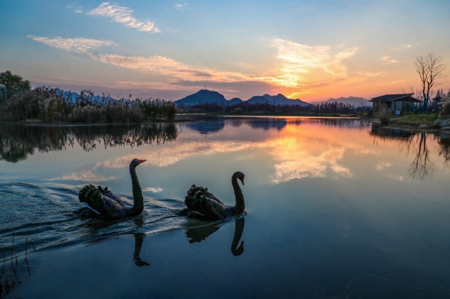 杭州富阳阳陂湖生态修复治理项目(一期)丨中国杭州丨中国电建集团华东勘测设计研究院有限公司,汉嘉设计集团股份有限公司-47