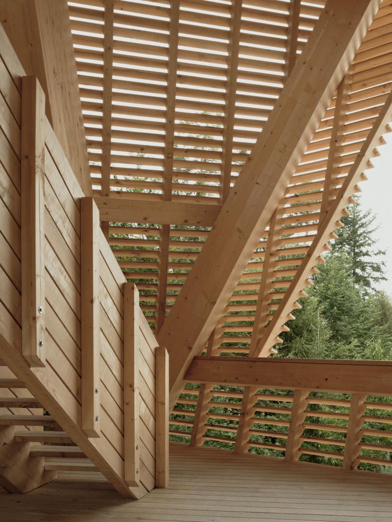 Hardwald 瞭望塔丨瑞士丨Luna Productions-8