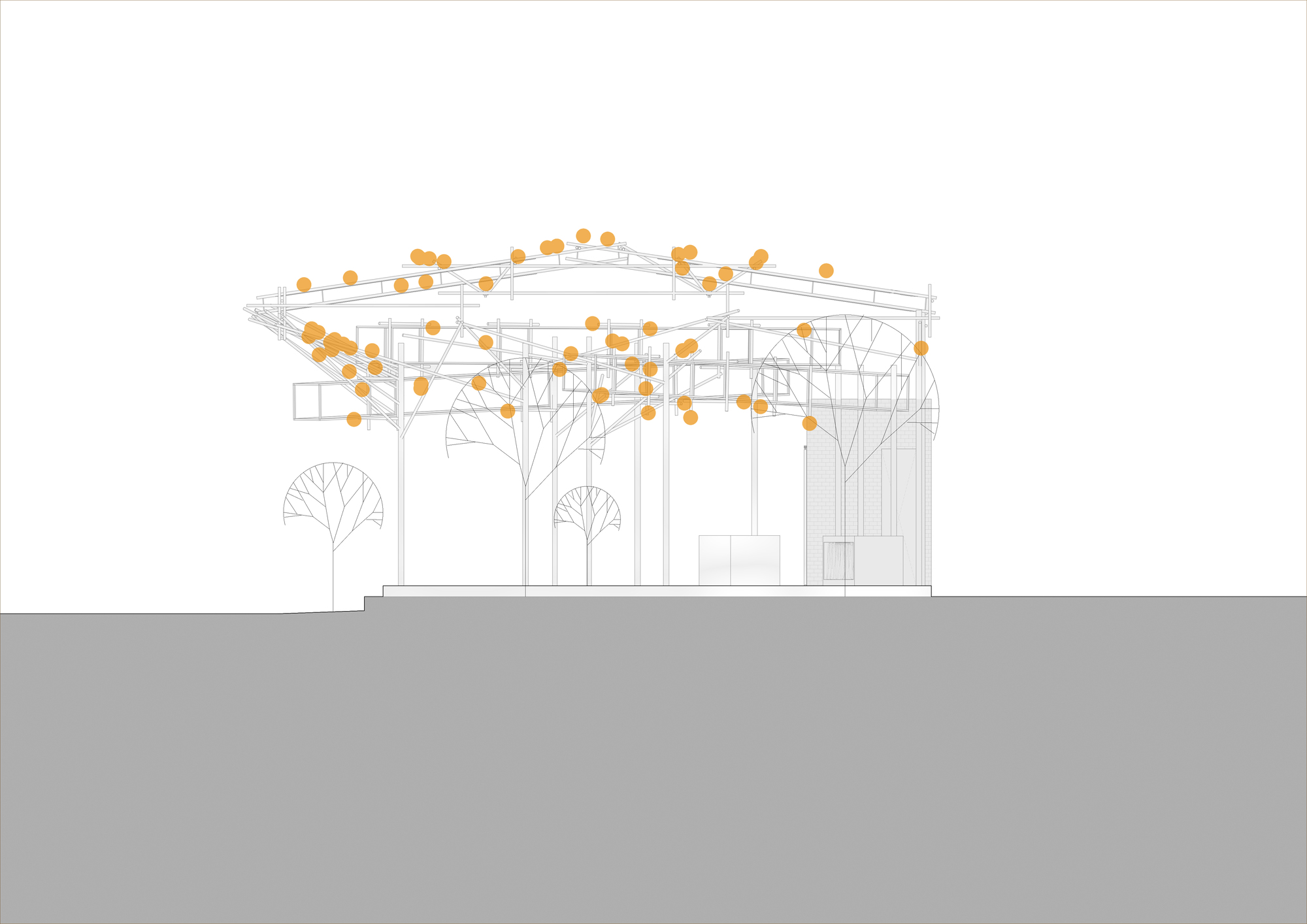 采茶，开花丨越南-52