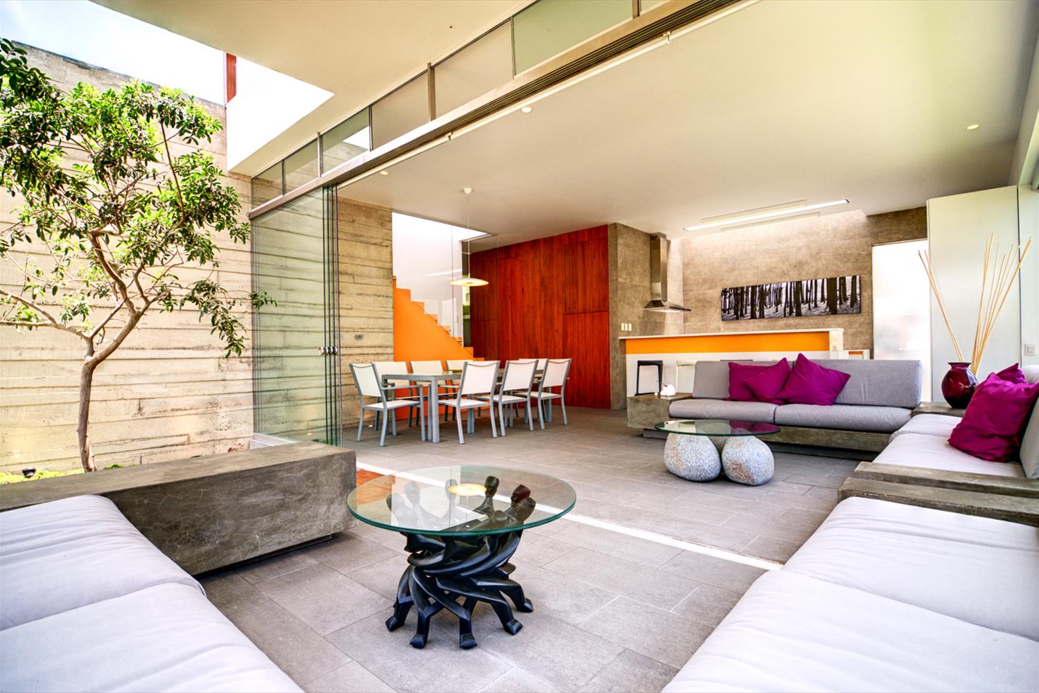 Casa Seta（玻璃之宅）-6