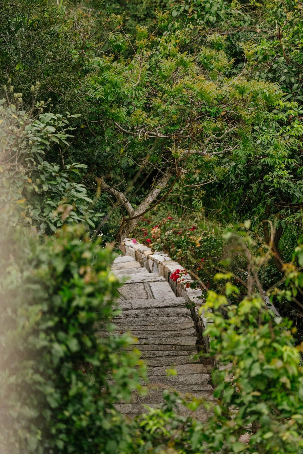 阿丽拉珠海东澳岛酒店丨中国珠海丨HSD水平线设计-205