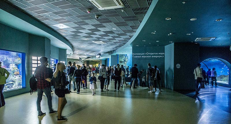 “Moskvarium”海洋馆丨俄罗斯莫斯科丨Aqua Logo Engineering-130