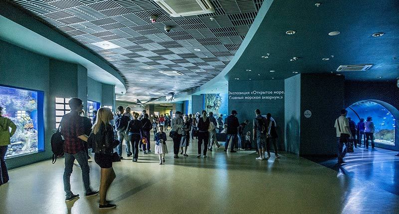 “Moskvarium”海洋馆丨俄罗斯莫斯科丨Aqua Logo Engineering-130