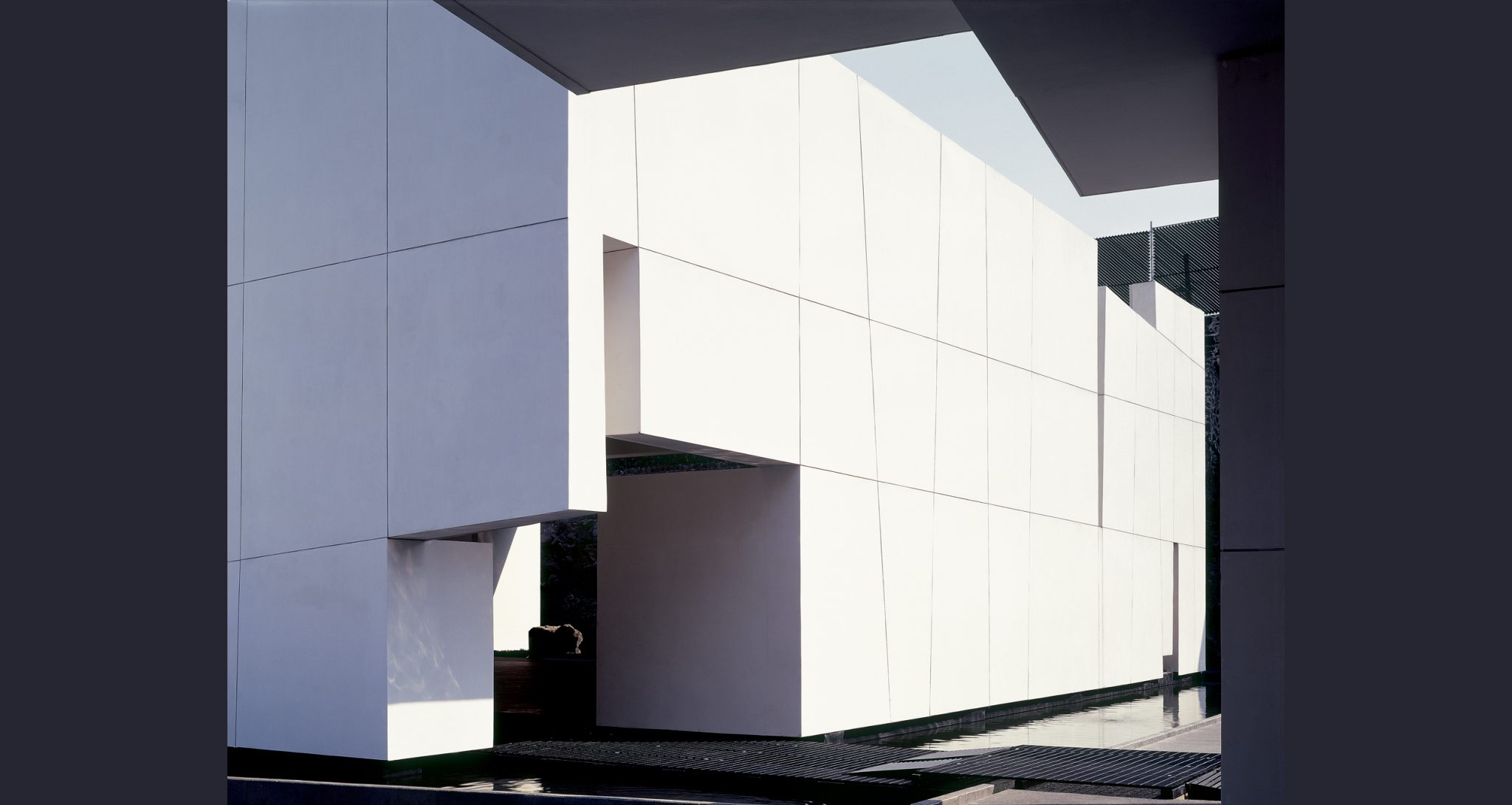 PEDREGAL Miguel AngelAragonés-6