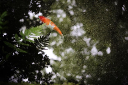 江山有礼丨中国衢州丨杭州刘爱欣创意设计有限公司-43