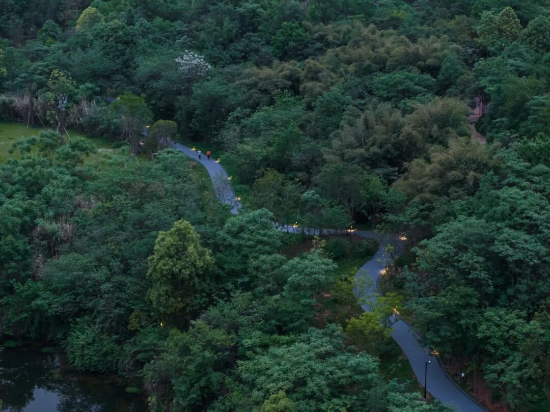 城市掌心的生态山野——麓野公园-254