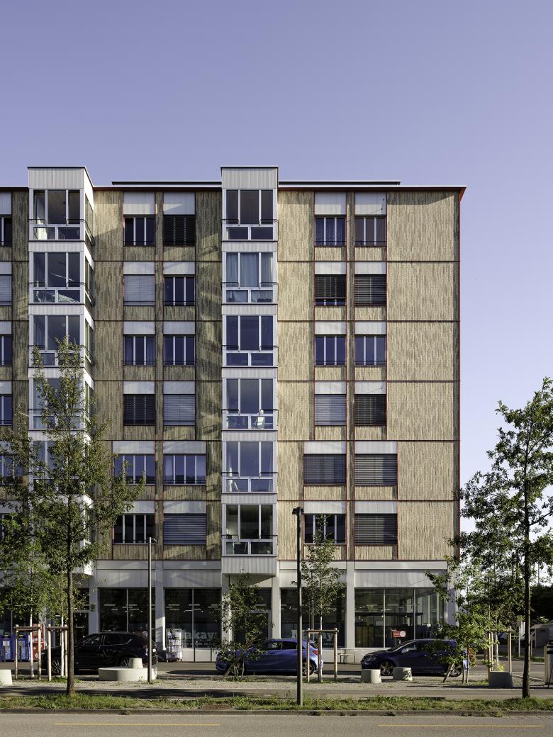 金氏住宅瑞士人寿丨瑞士丨BDE Architekten BSA SIA-4