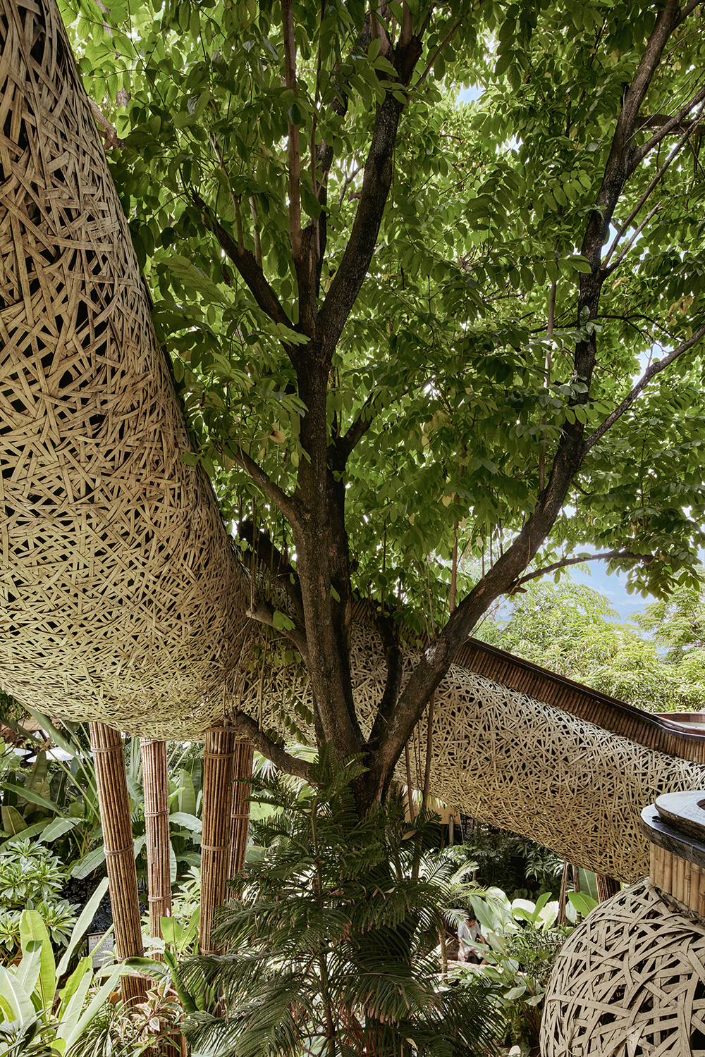 春武里丨中国西双版纳丨方糖设计-41