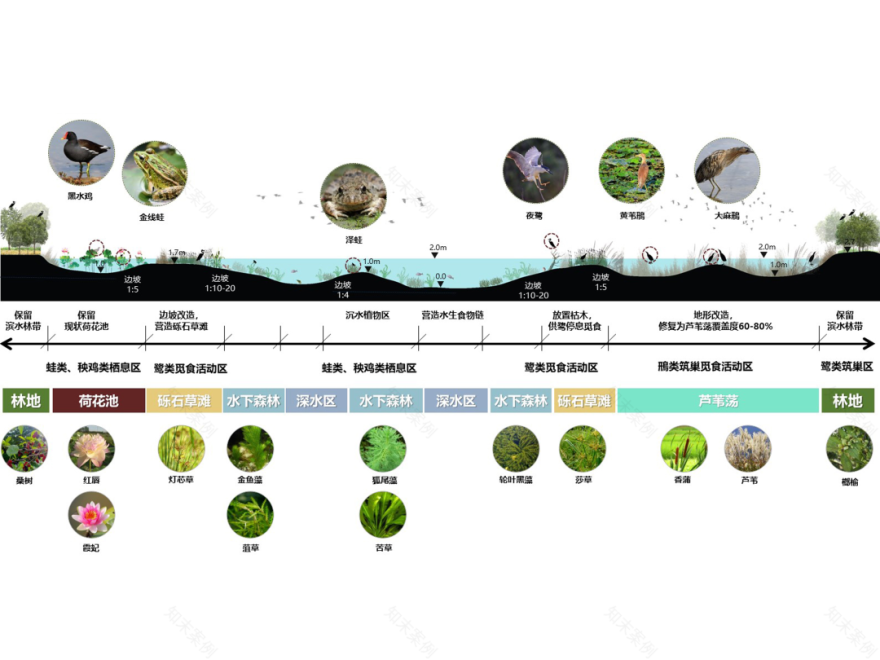 台州鉴洋湖湿地公园首启区景观设计丨中国台州丨AECOM-30