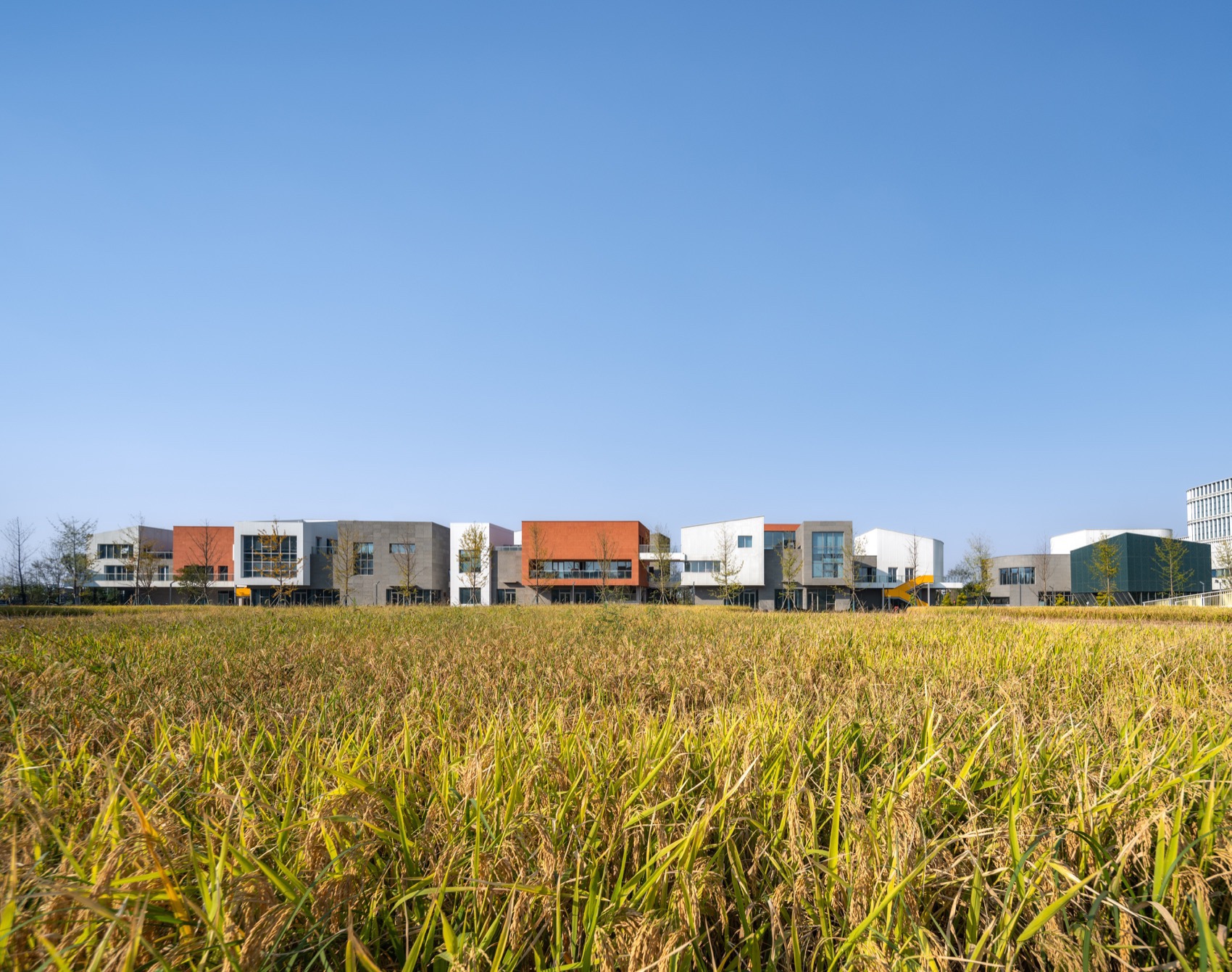 海宁长安国际花卉产业园,浙江 / 森上建筑+朴筑建筑-44