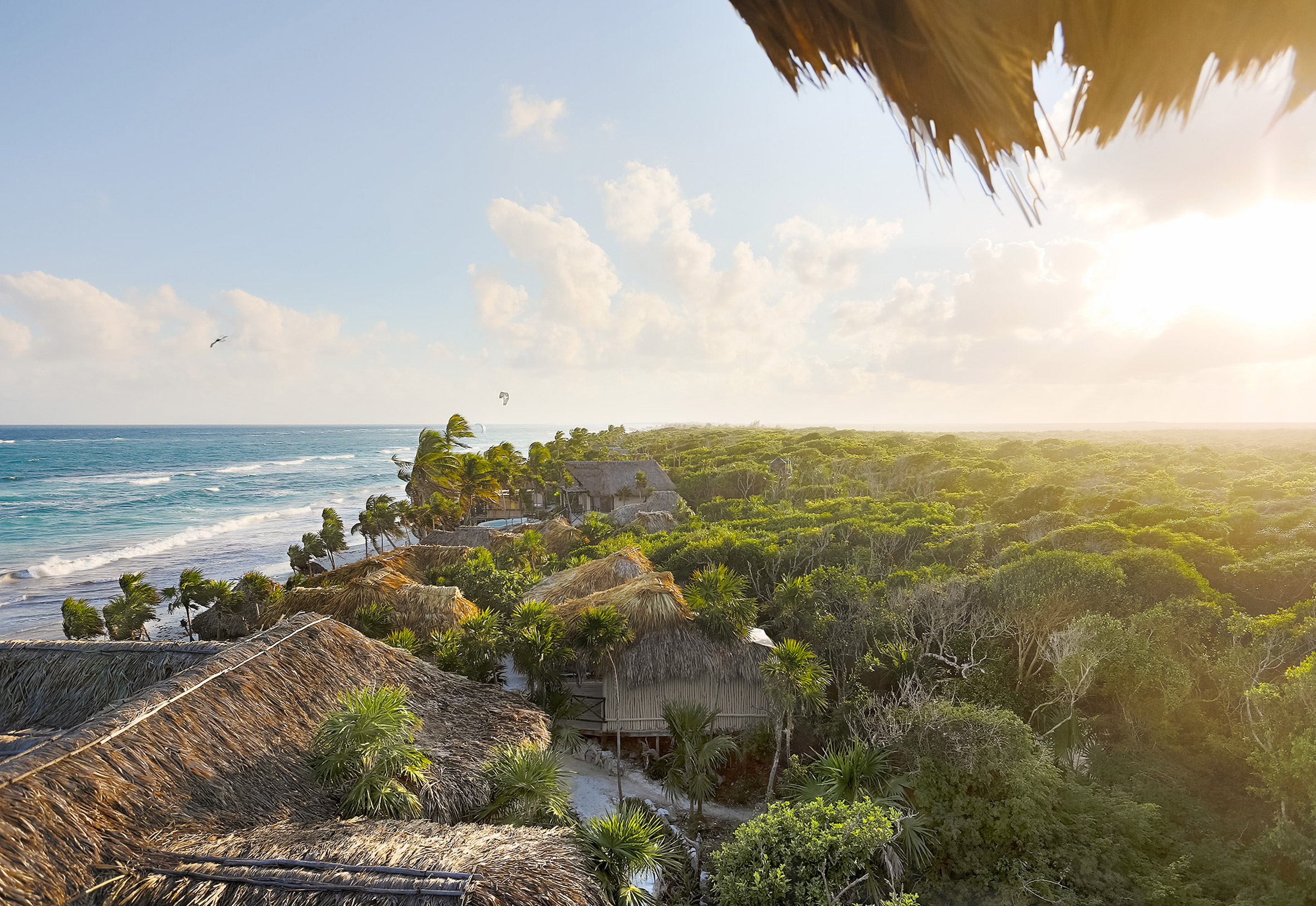 Treehouse hotel room peeps above canopy of Mexico's tropical woodland-10