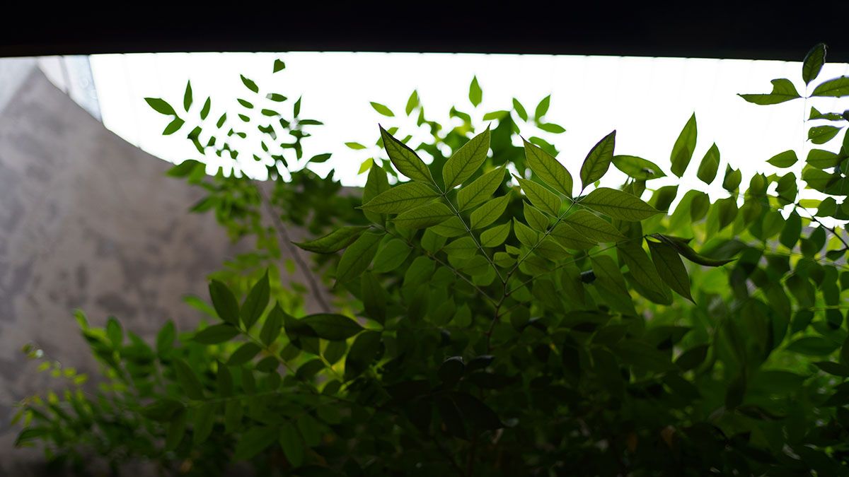 度假风 Soc's House 木质游艇住宅-20