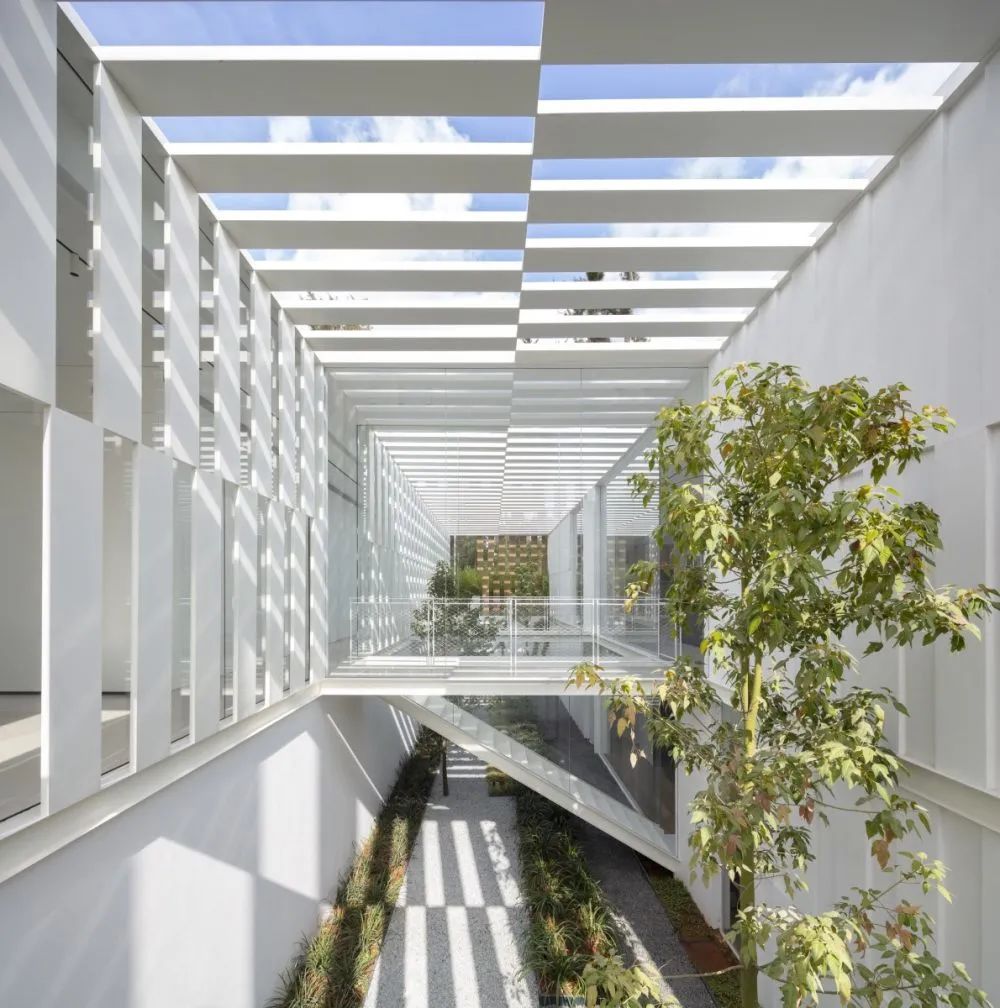 皮苏·凯德姆建筑师事务所-204