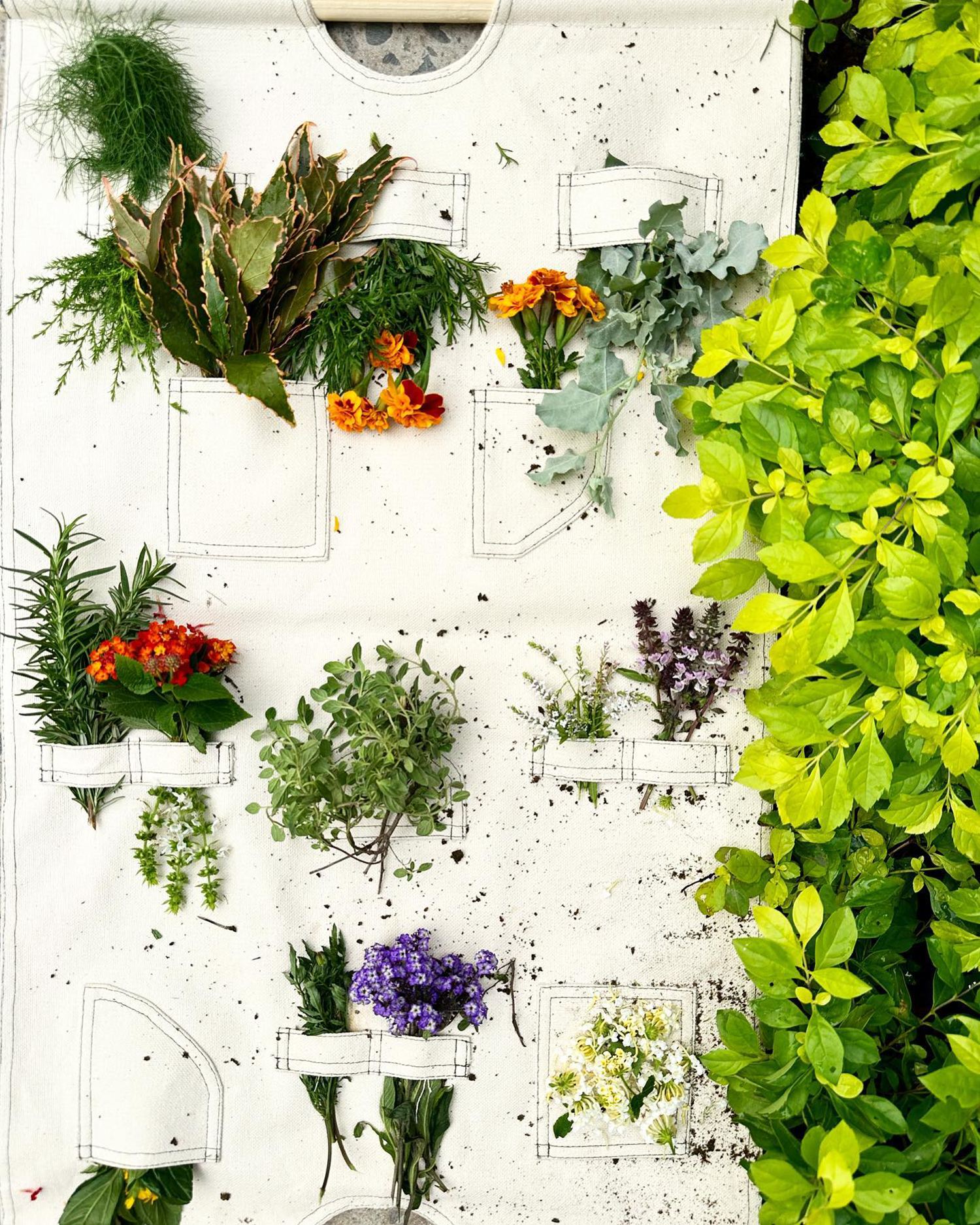 MIL 餐厅丨秘鲁库斯科丨Estudio Soroche 设计工作室-117