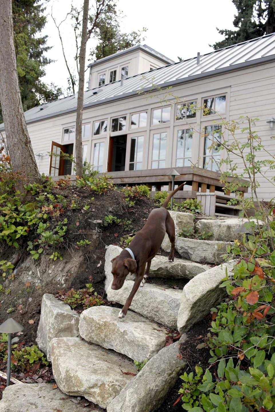 绿意环绕的海边家园——Hoedemaker Pfeiffer 设计挑战性场地-38