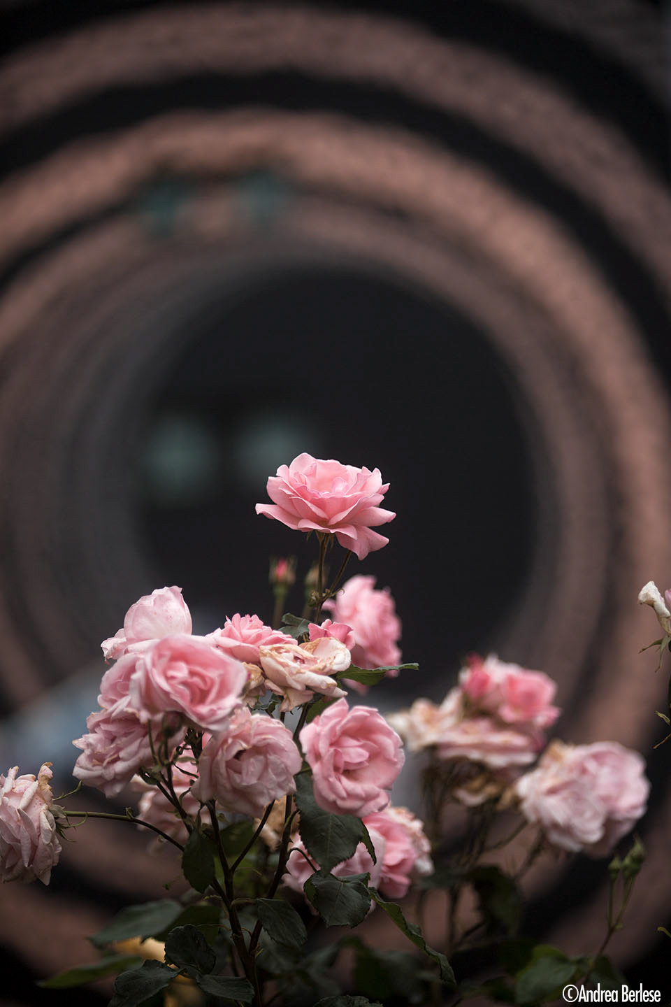 法国格勒诺布尔街头艺术节-10