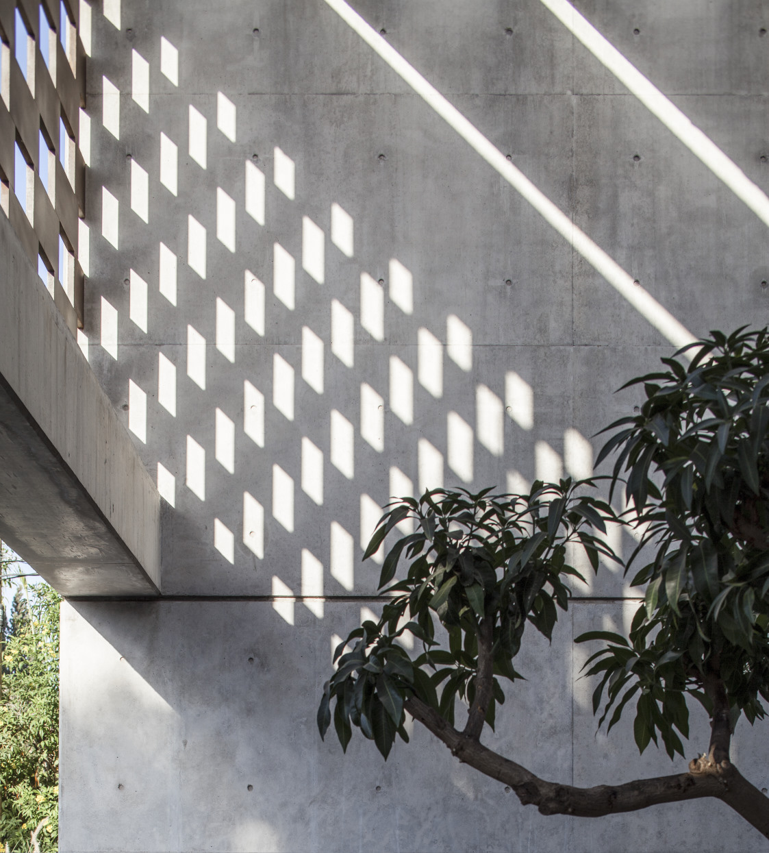 以色列阴影别墅丨Pitsou Kedem Architects-27