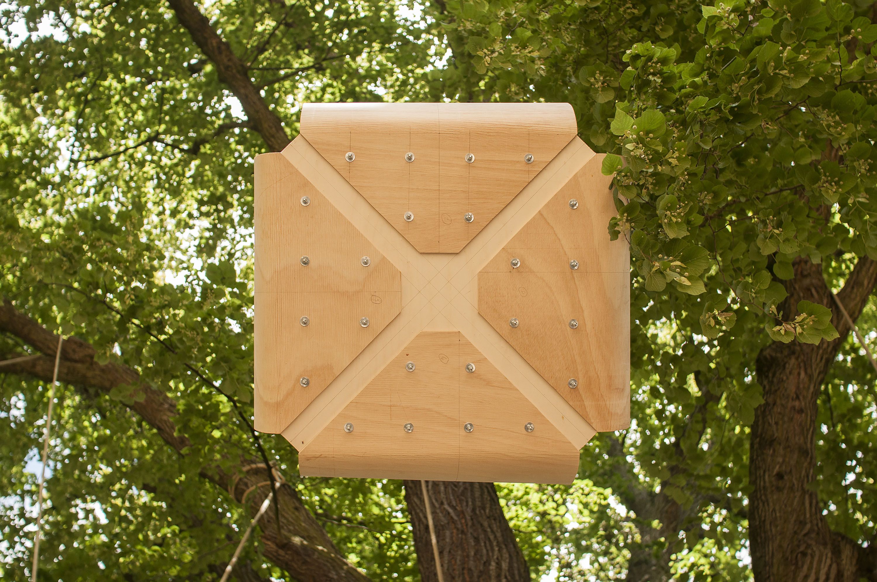 南锡的空贝壳-6