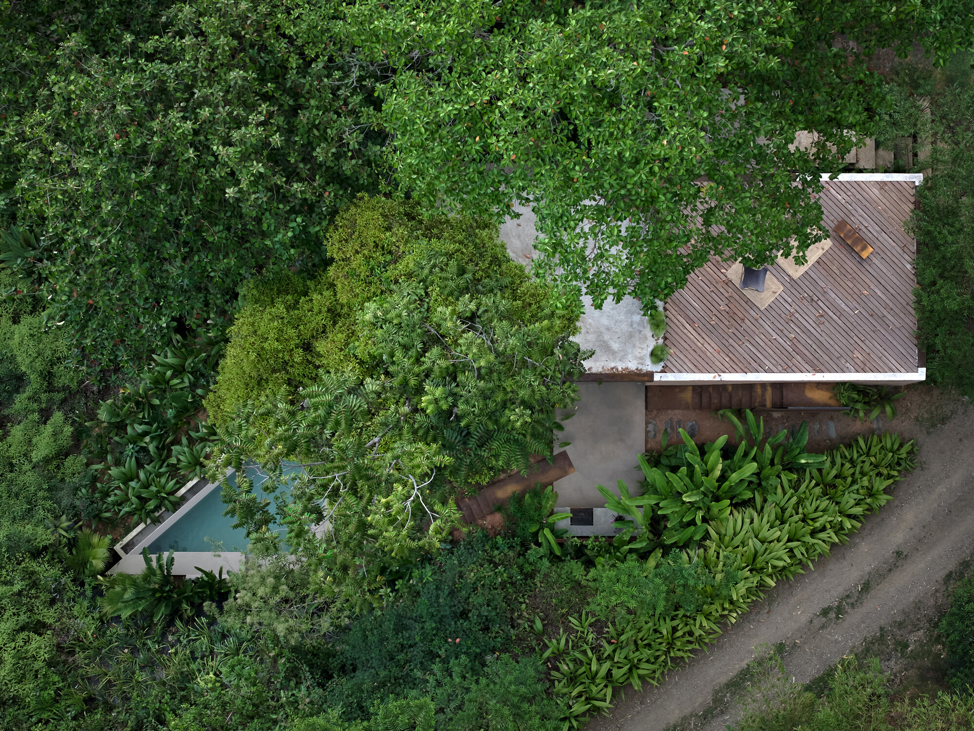 丨哥斯达黎加丨Formafatal-52