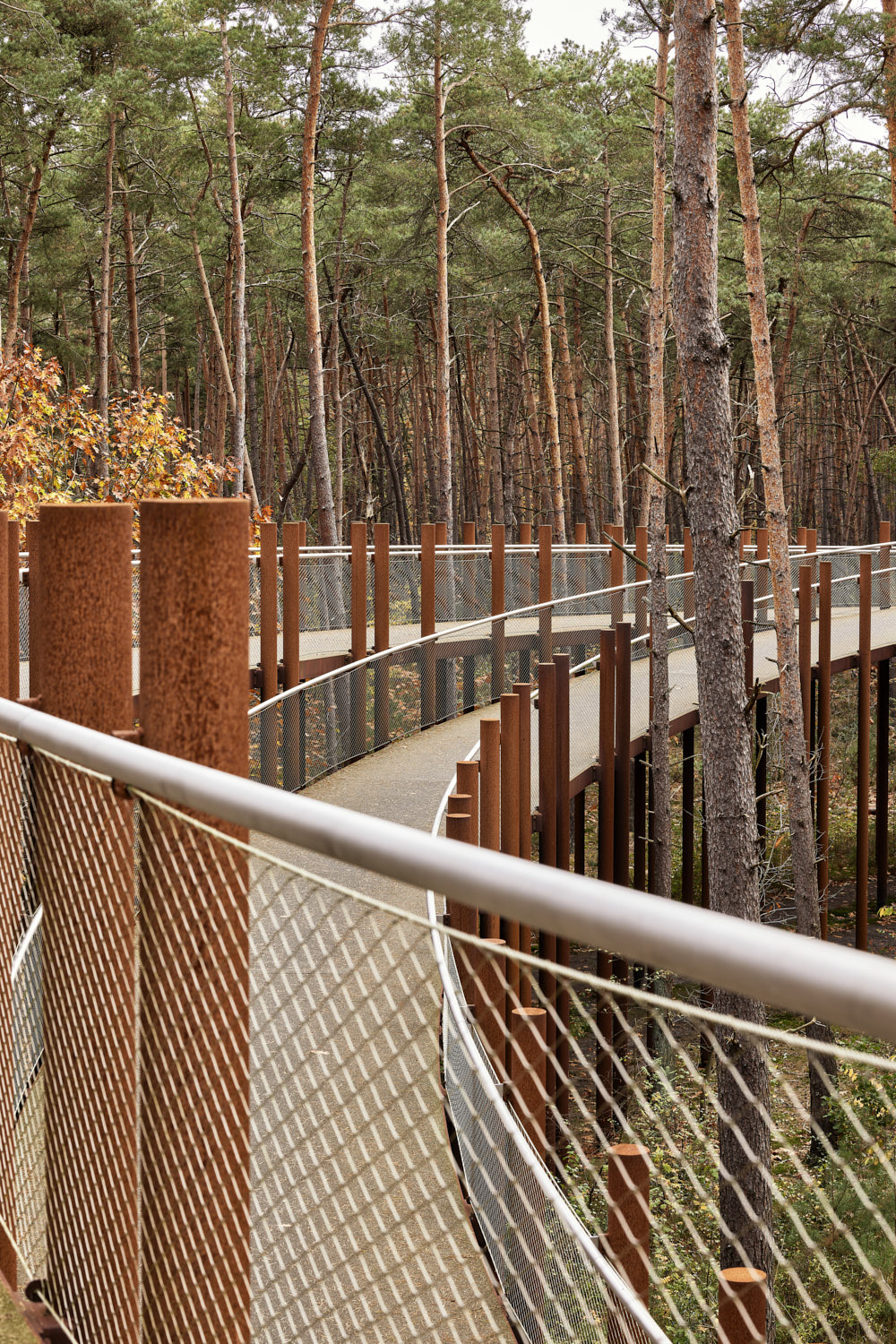 在树林中骑行丨Visit Limburg-14