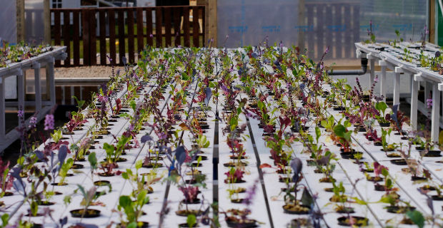 丨英国曼彻斯特-12